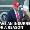 Trump says he may invoke Insurrection Act if courts block troop deployments