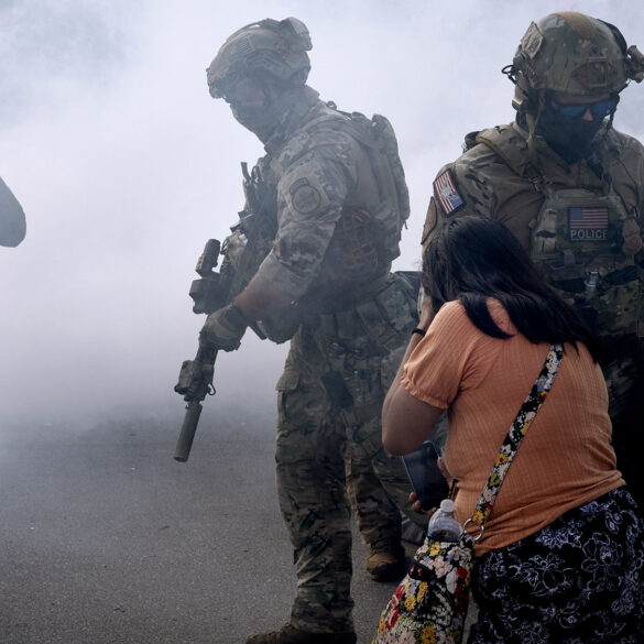 Satire news: chicago ice raids by the numbers