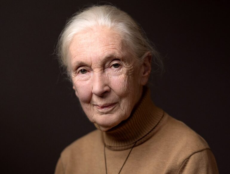 Satire news: jane goodall, author of ‘15 amazing monkey facts