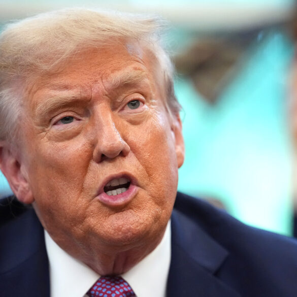 Satire news: trump defends demolition of yggdrasil, ancient tree of