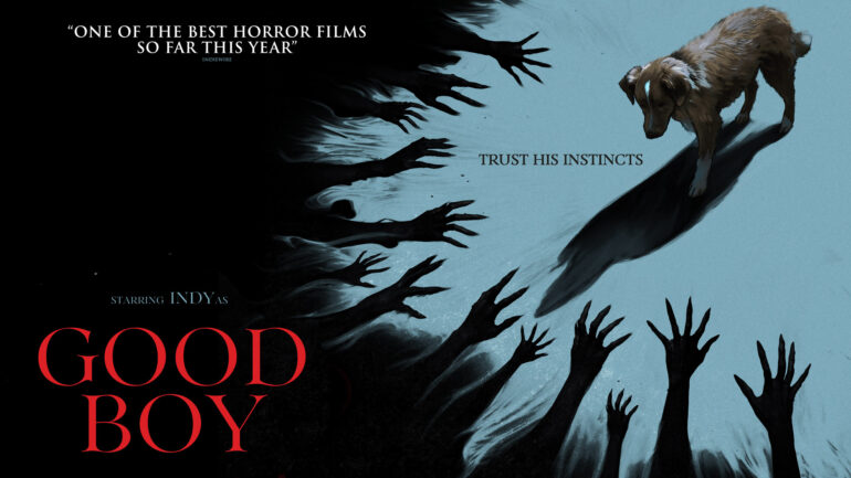 Satire news: what to know about ‘good boy’