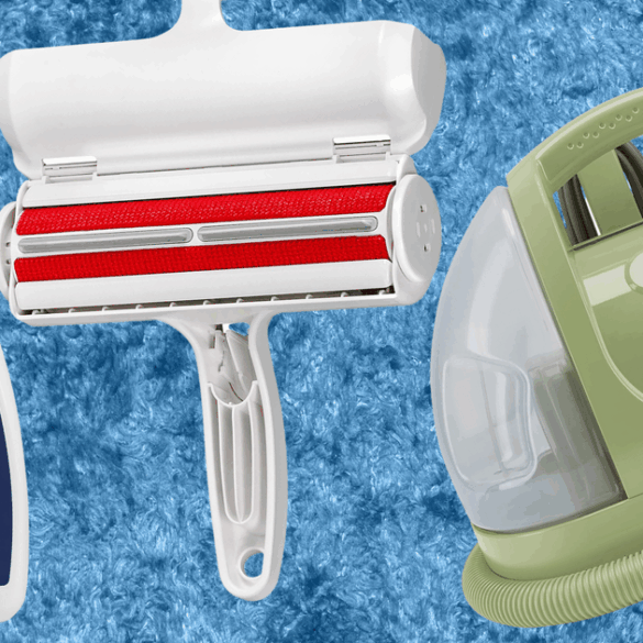 Travel & lifestyle: best pet cleaning products for hair, odor