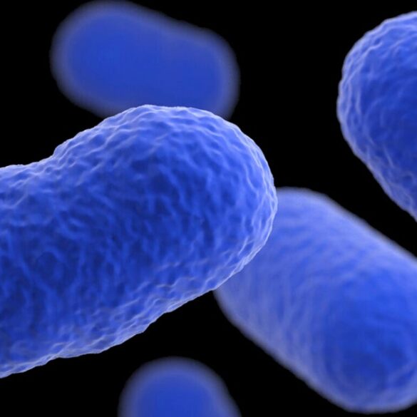 Travel & lifestyle: sprouts farmers market recalls this dish due