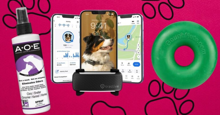 Travel & lifestyle: vets reveal their number one item for