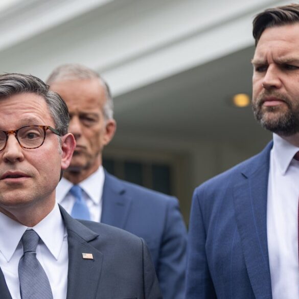 Travel & lifestyle: why republicans are falsely claiming democrats want