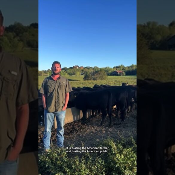 Everyday Americans Say They’re Done With Democrats’ Shutdown