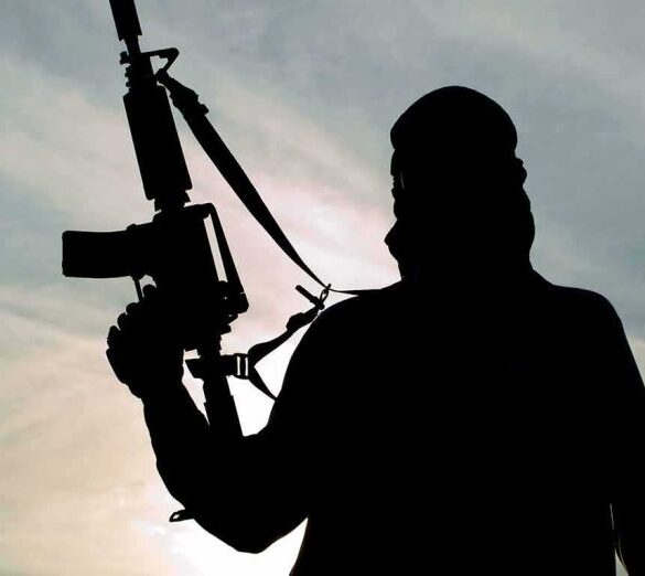 Silhouette of a person holding a rifle against a cloudy sky