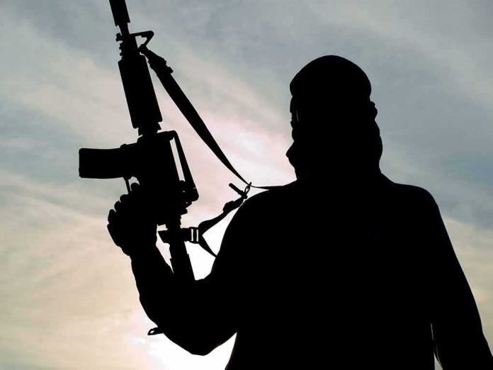 Silhouette of a person holding a rifle against a cloudy sky