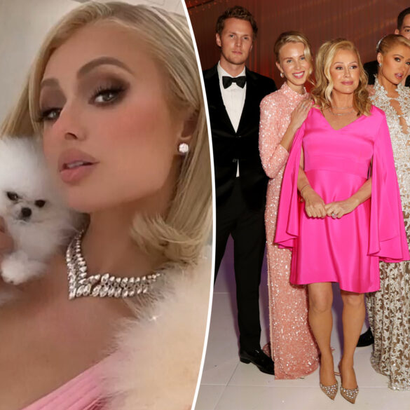 Gossip & rumors: paris hilton called delusional by fans for