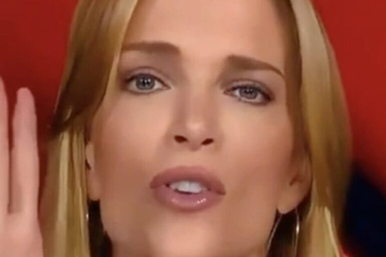 Megyn Kelly Tells Mark Levin to “Put a F*cking Lid On It!” * 100PercentFedUp.com * by Noah