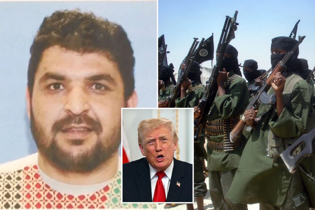 Politics: afghan terror and somalia fraud shows why trump is