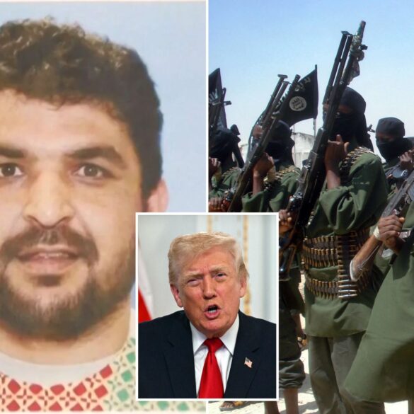 Politics: afghan terror and somalia fraud shows why trump is