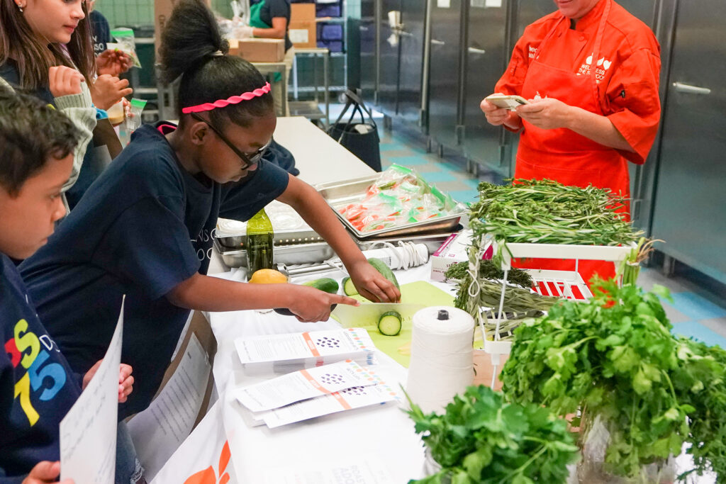 Politics: board of regents mandates 'climate' curricula as ny kids