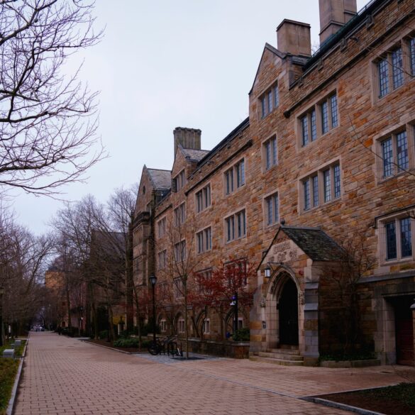 Politics: more americans are realizing a four year degree is an