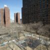Politics: nycha scammers are surface rot on a stinking mass