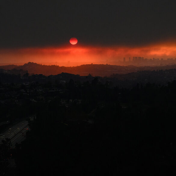 Politics: smoking gun: newsom’s 'plant police' linked to deadly la