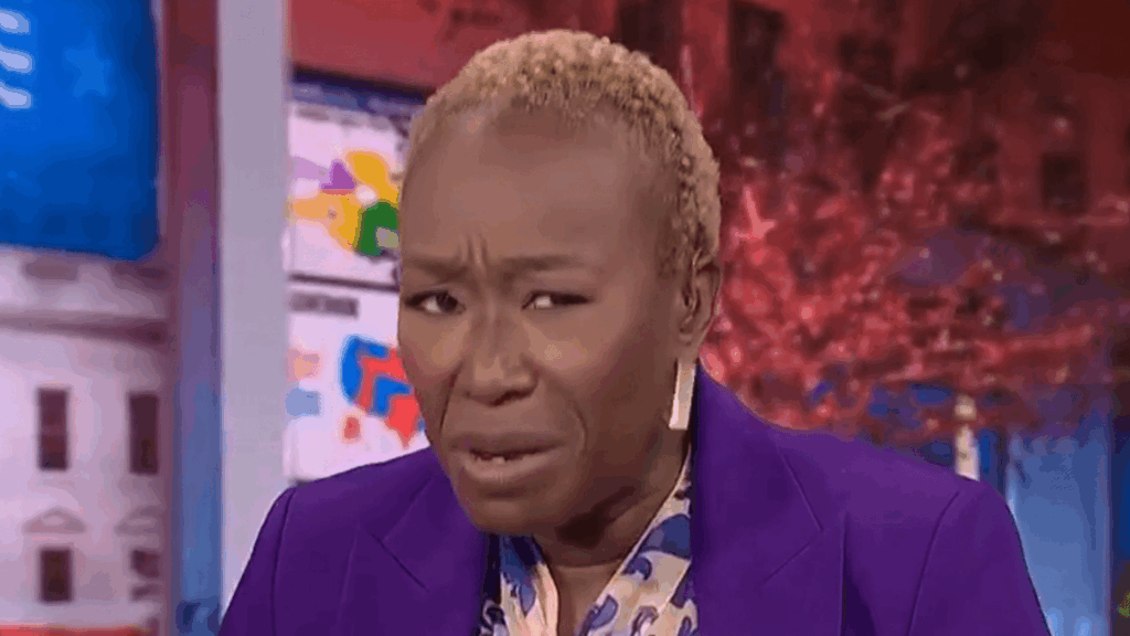 Politics: turning tide: liberal activist joy reid admits she would