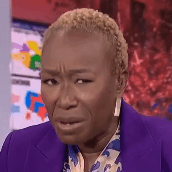 Politics: turning tide: liberal activist joy reid admits she would