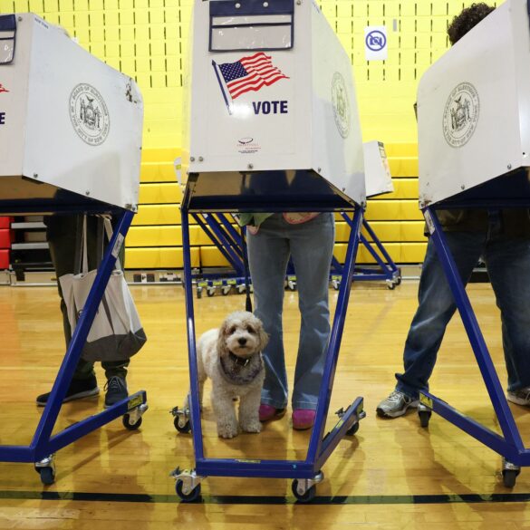 Politics: thank you to new yorkers for going to the