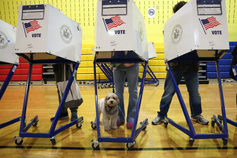 Politics: thank you to new yorkers for going to the