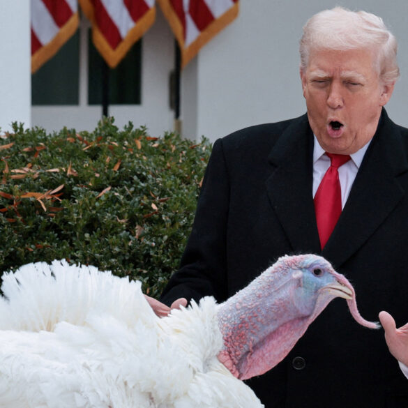 Politics: thankfulness isn't a 'problem' — let's bring humility back