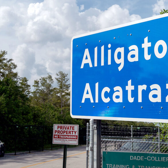 Satire news: alligator alcatraz by the numbers