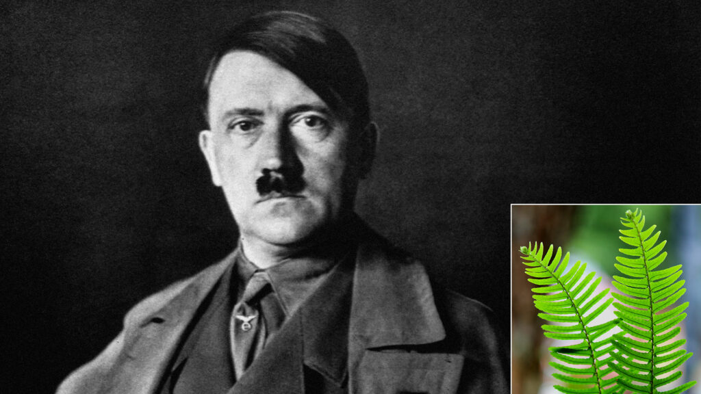 Satire news: dna sequencing reveals hitler was type of fern