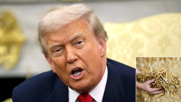 Satire news: white house touts affordability of hay based thanksgiving dishes