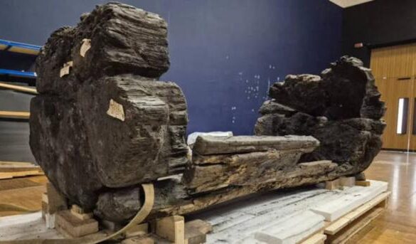 The restored Tetney Coffin after arrival at Lincoln Museum, where it will soon be displayed.