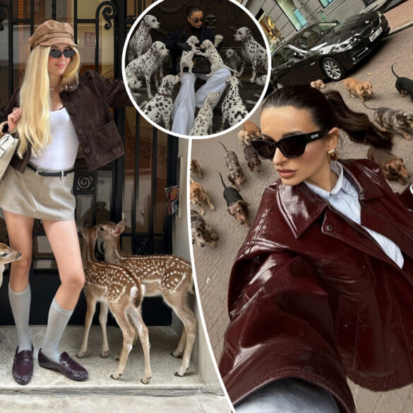 Science & tech: 'hot girl' influencers using ai animals to