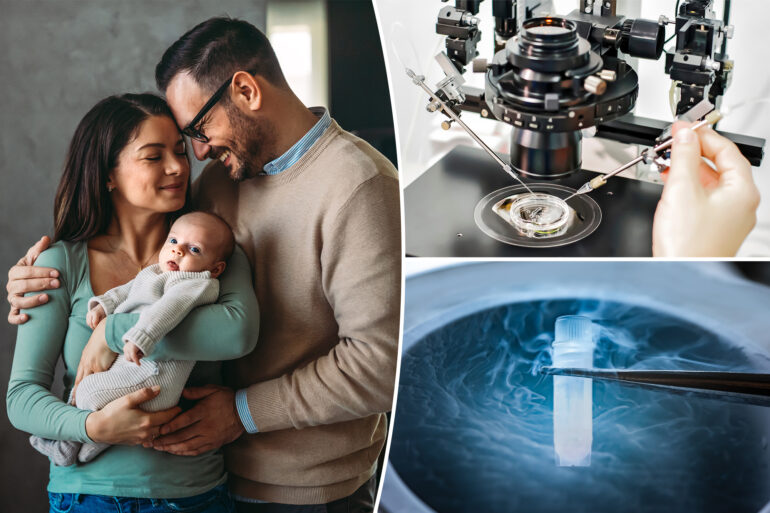 Science & tech: this ai powered tool predicts ivf success 90%