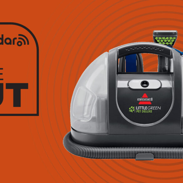 Bissell little green