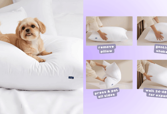 They're made with a fluffly down alternative that's super supportive.