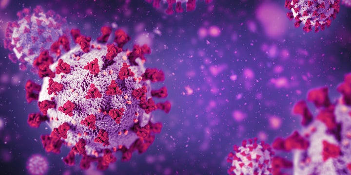 New research found the common cold may protect you from a COVID-19 infection.