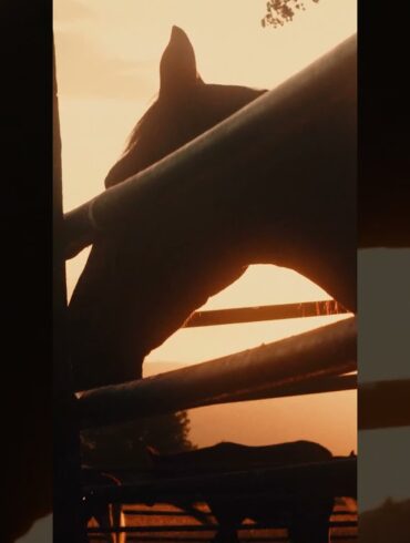 America the Beautiful