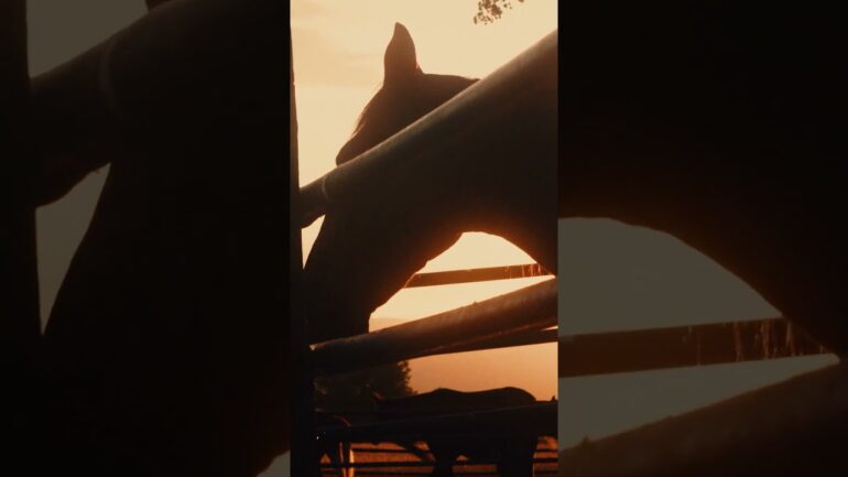 America the Beautiful