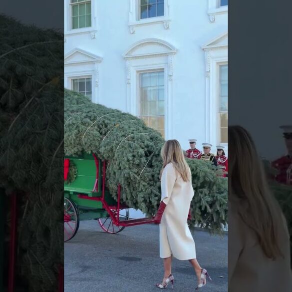 First Lady Melania Trump welcomes the official White House Christmas Tree