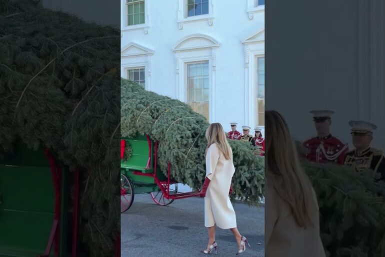 First Lady Melania Trump welcomes the official White House Christmas Tree