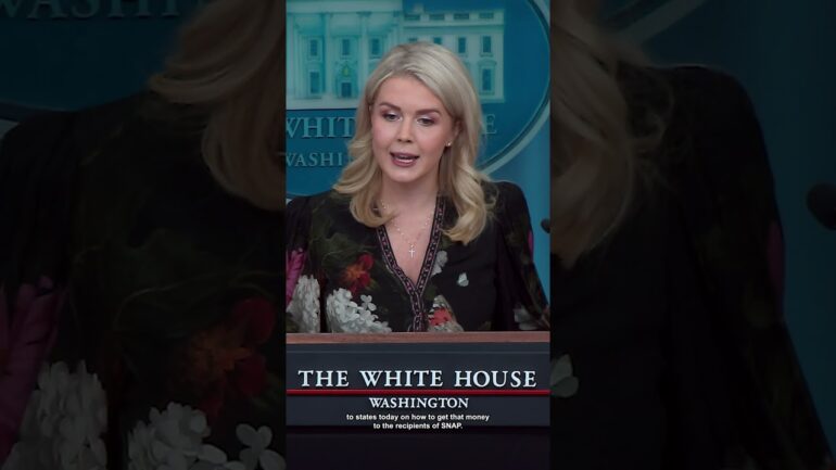 🔥 Press Sec on the Democrat Shutdown