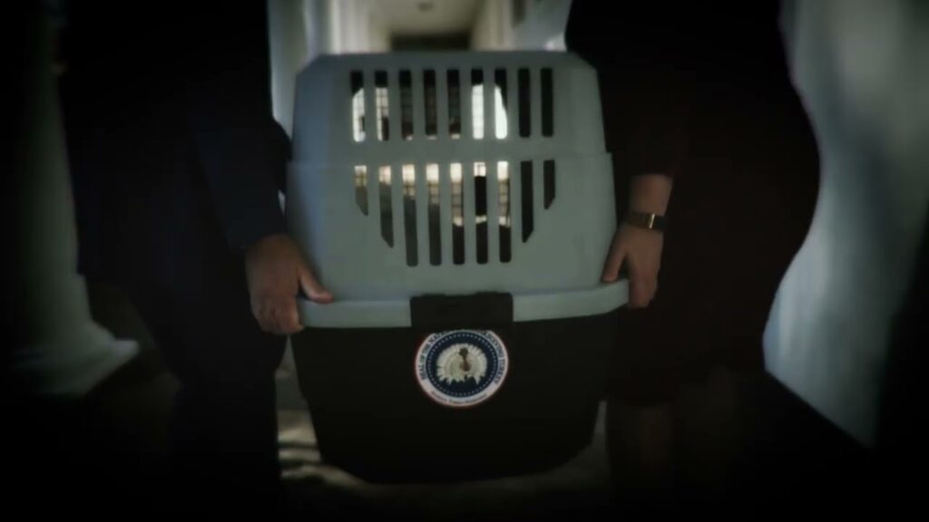 Thanksgiving Turkey Pardon