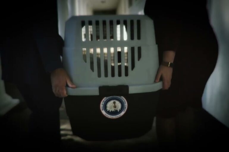 Thanksgiving Turkey Pardon