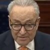 Chuck Schumer Claims New York Offices Faced B*mb Threats From Email With Subject Line "MAGA" * 100PercentFedUp.com * by Danielle
