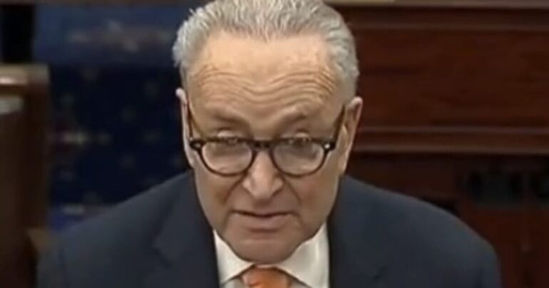 Chuck Schumer Claims New York Offices Faced B*mb Threats From Email With Subject Line "MAGA" * 100PercentFedUp.com * by Danielle