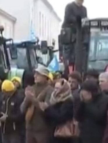 Farmers Protest Plan To Vaccinate One Million Head Of Cattle And Culling Policy * 100PercentFedUp.com * by Danielle