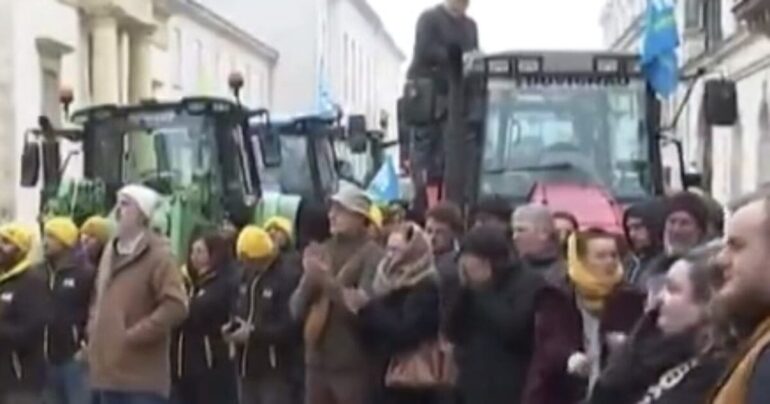 Farmers Protest Plan To Vaccinate One Million Head Of Cattle And Culling Policy * 100PercentFedUp.com * by Danielle