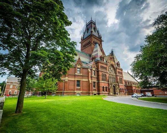 harvard