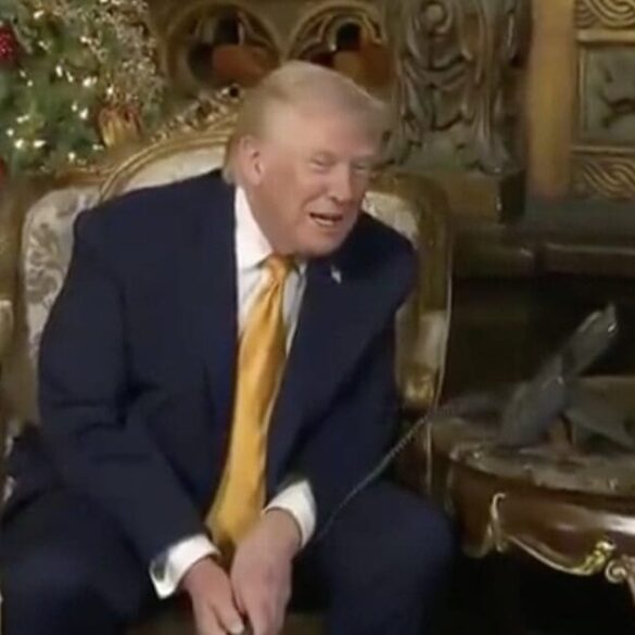 President Trump Has Hilarious Answer When A Kid Asks Why NORAD Is Tracking Santa * 100PercentFedUp.com * by Noah