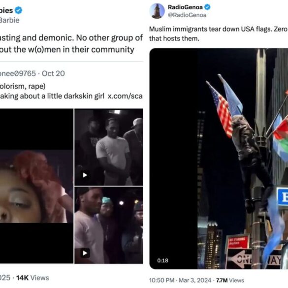 An image collage containing 2 images, Image 1 shows Screenshot of a social media post with two videos; one shows a woman's face and a man in the background, and the other shows a man in a white t-shirt that says, "IF U CAN READ THIS.", Image 2 shows A person climbing a pole with several flags, including US and Palestinian flags, on a city street at night