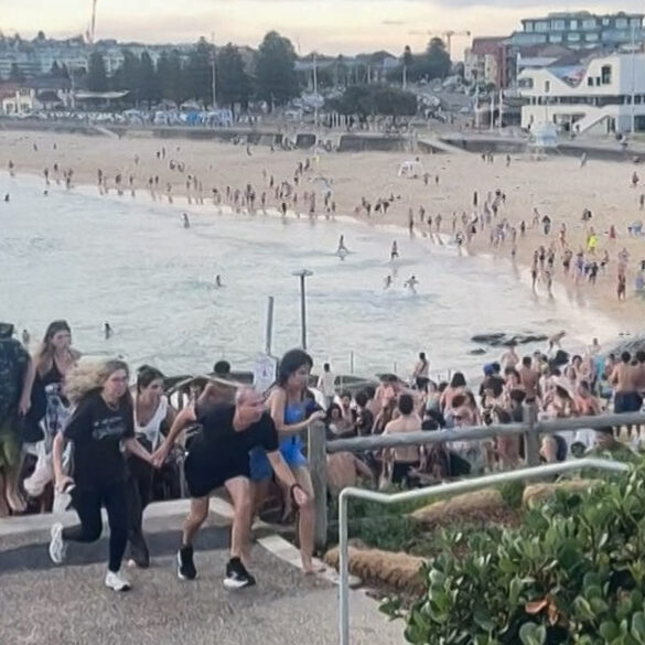 Politics: bondi beach where the light was meant to