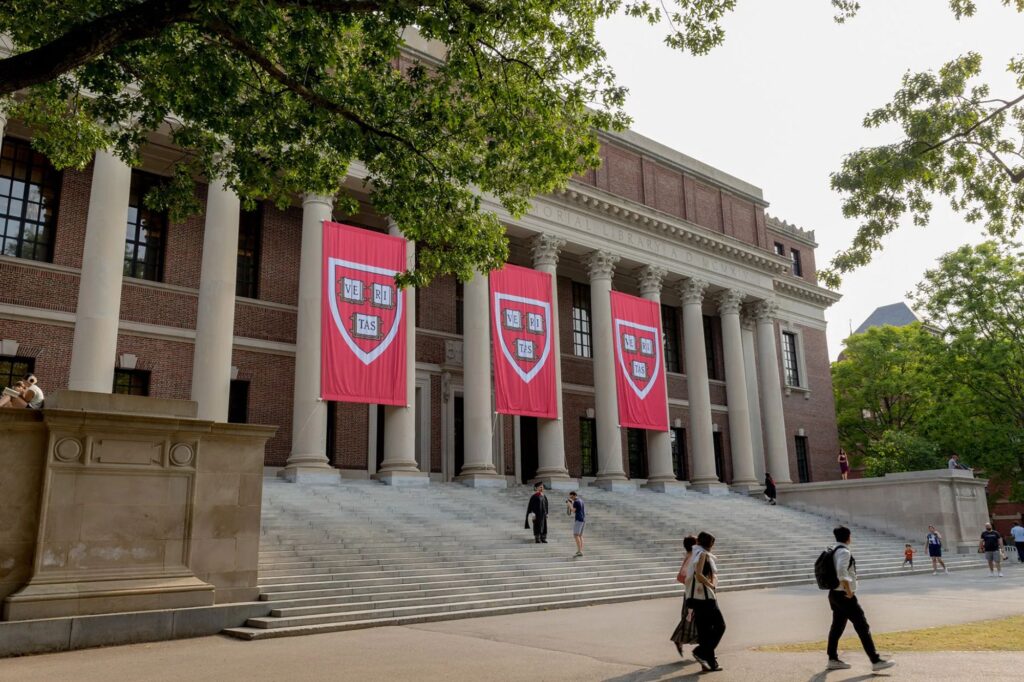 Politics: harvard is destroying itself over 'diversity' — and the